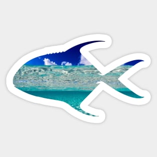 POMPANO Sticker